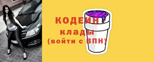 дмт Богданович